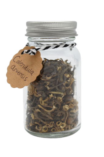 Calendula arvensis żaden verkrijgbaar bij DeDuurzameTuin.nl 
