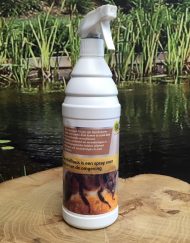 Bee Wellness