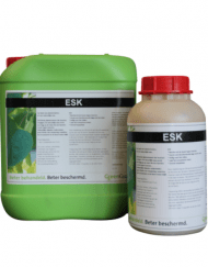 ESK
