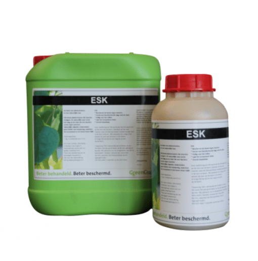 ESK