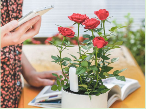 Planten monitor