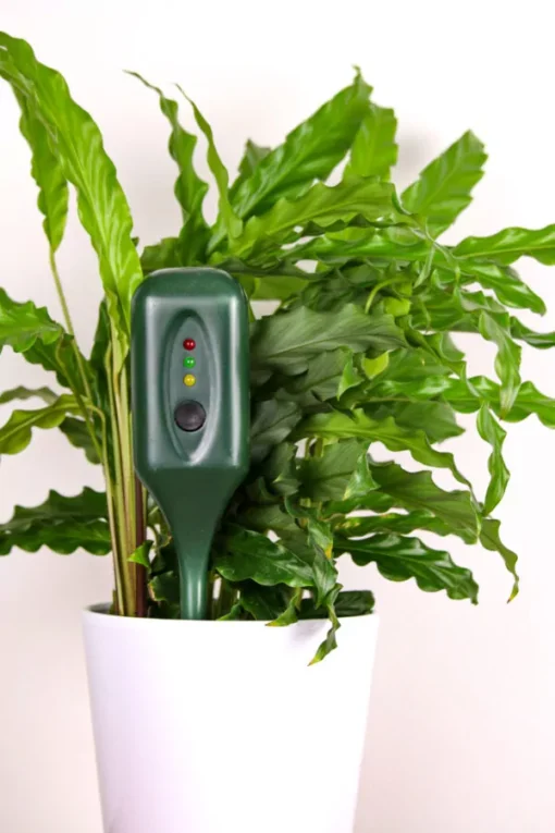 Bemestingsmeter met potplanten