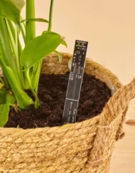 Grondvochtsensor met geluidsalarm