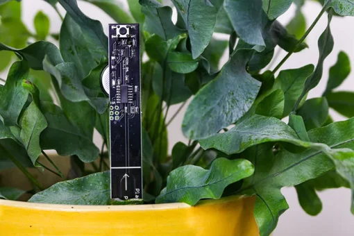 Grondvochtsensor met geluidsalarm in potgrond kamerplant
