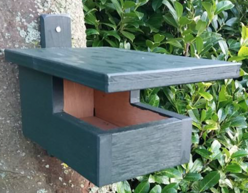 Merel en roodborst nestkast