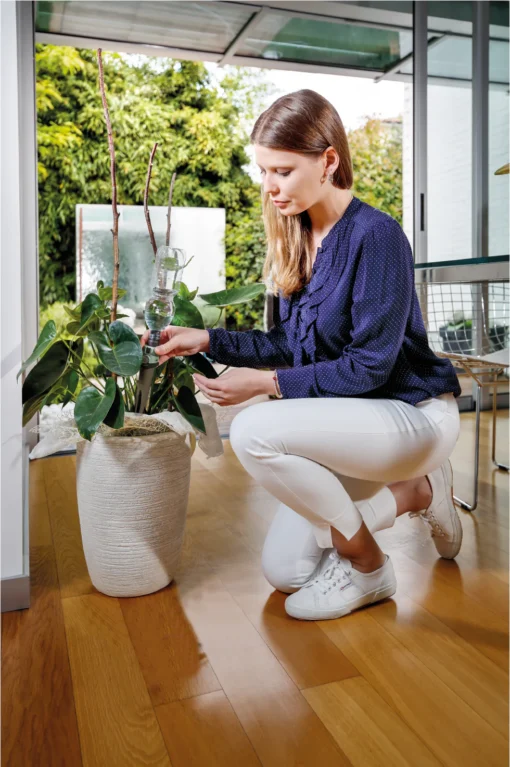 Bewateringssysteem planten - Afbeelding 2