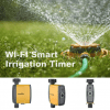 WiFi controller voor irrigatie buiten