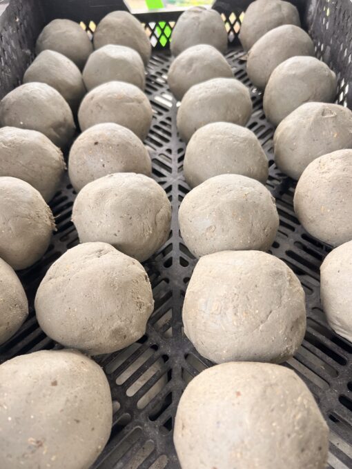 EM Bokashi vijverballen klei met micro-organismen verkrijgbaar bij DeDuurzameTuin.nl