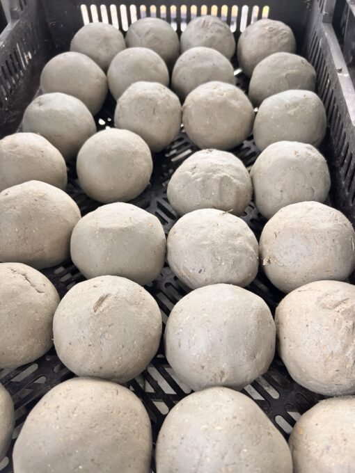 EM Bokashi vijverballen klei met micro-organismen verkrijgbaar bij DeDuurzameTuin.nl