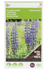 Groenbemester Blauwe Lupine verkrijgbaar bij DeDuurzameTuin.nl