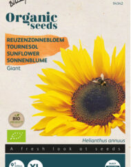 Reuzenzonnebloem zaden