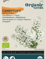 Bittere scheefbloem zaden