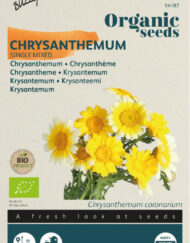 Chrysanthemum zaden