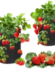 PlantGrowBag Staand – Kweekzak 38 liter